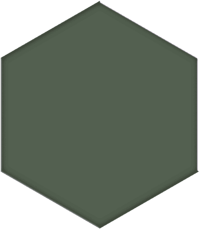 color image